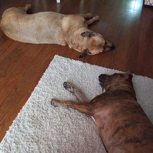 Meet your Posher, Dana